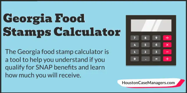 Georgia food stamp calculator