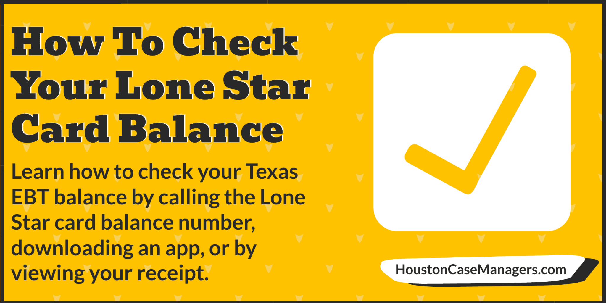 How To Check Your Lone Star Card Balance