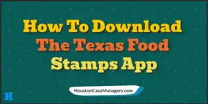 texas food stamps app