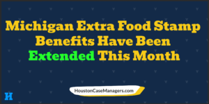 Michigan extra food stamps January 2022