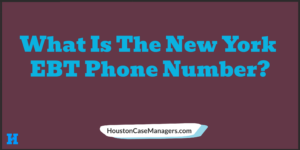 new york ebt phone number