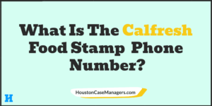 California EBT Phone number