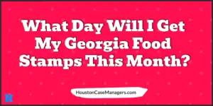Georgia food stamp deposit schedule this month